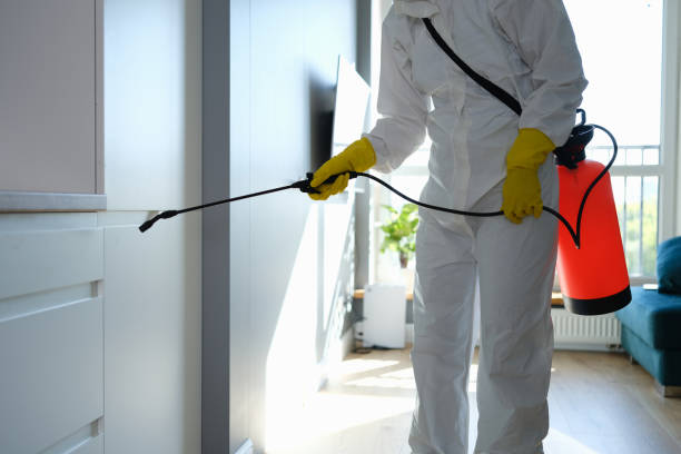 Best Kitchen Mold Remediation in Queensland, MD