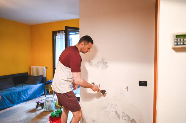Best Emergency Mold Remediation in Queensland, MD
